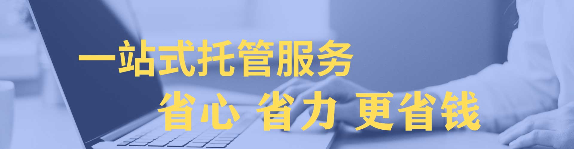 大园sem投放