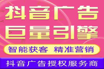 成功案例解析：SEO与SEM协同营销策略